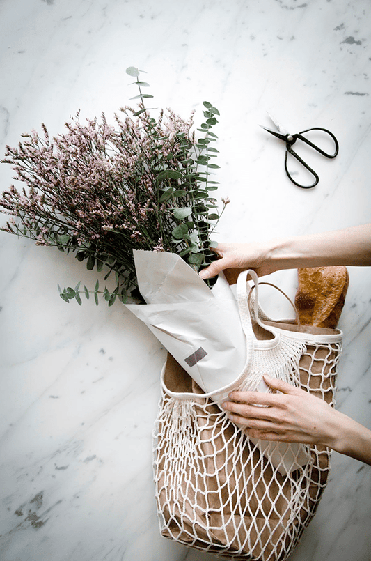 Plastic Free July - Our staff favorites and how to get involved!