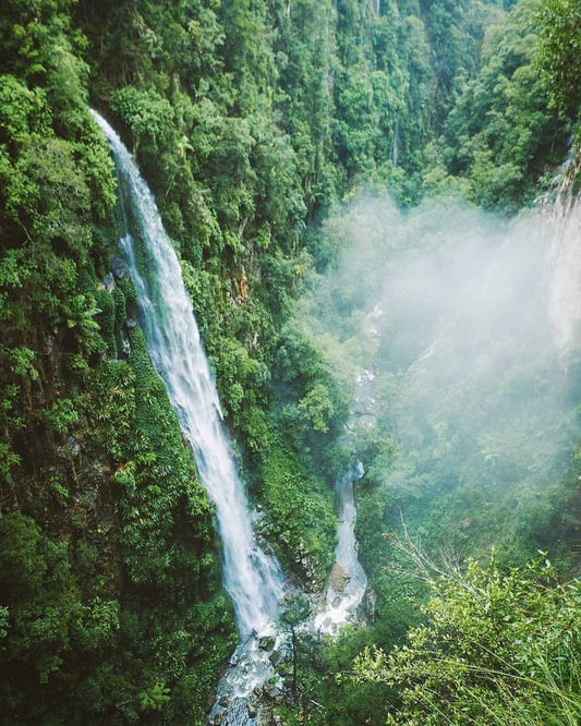 A very big New Years resolution & promise to the planet, from our friends at Nutra Organics