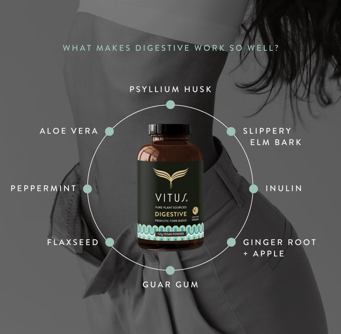 Vitus Digestive Vegan Powder