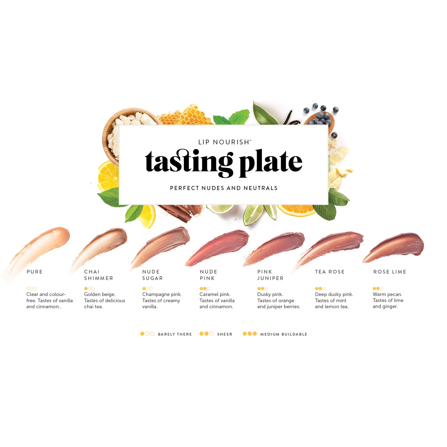 Lip Nourish Tasting Plate - Nudes + Neutrals | 7 Shades