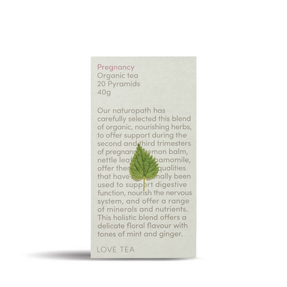 Pregnancy - Pyramid Bags x20